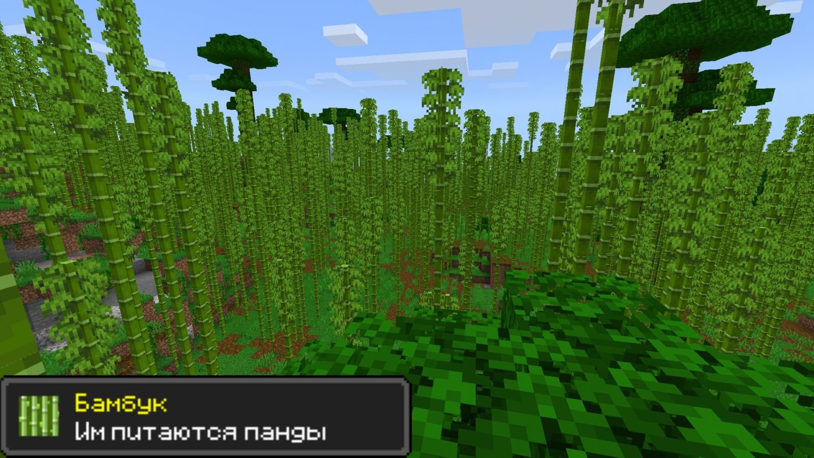 Bambuk v Minecraft PE 1.8.0