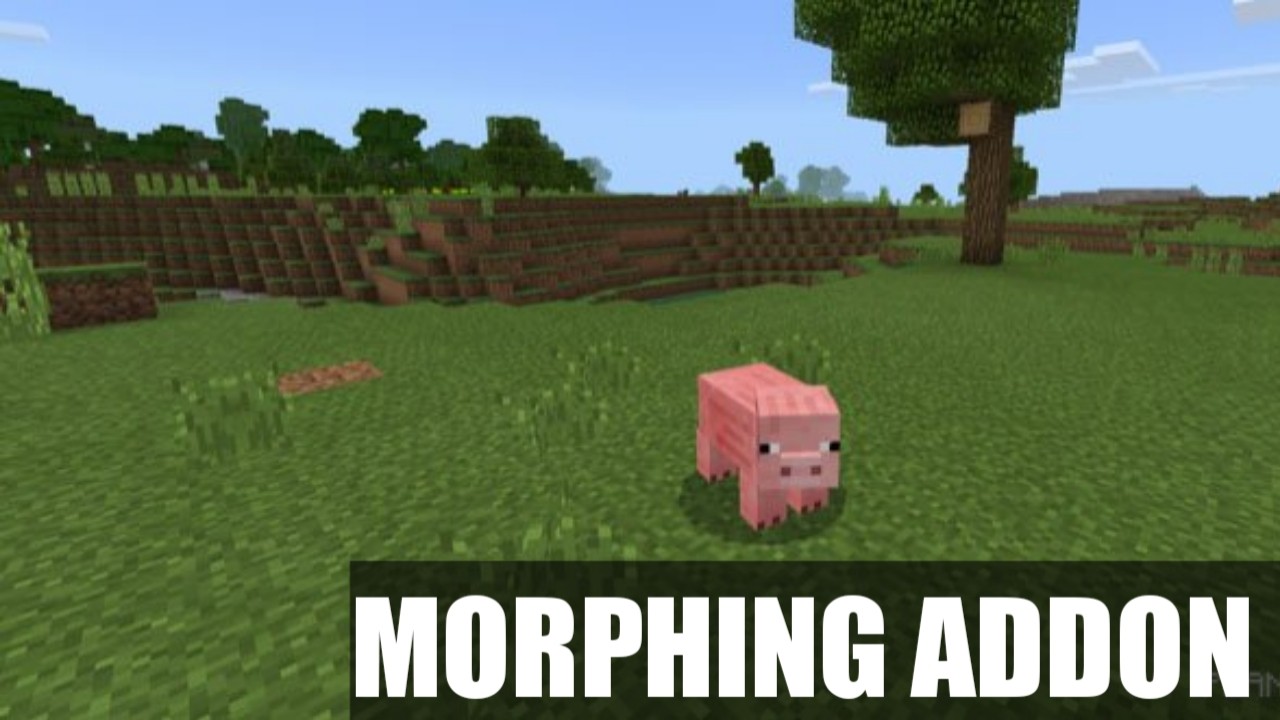 Мод на превращения Morphing Addon на Minecraft PE
