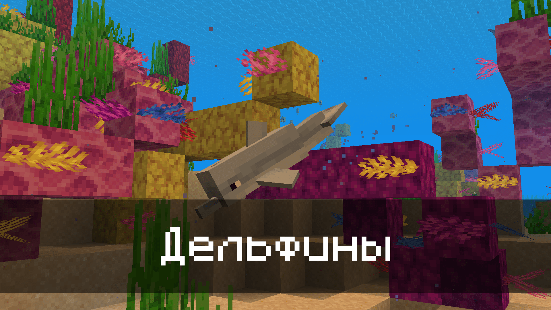 Дельфины в Minecraft PE 1.4.1