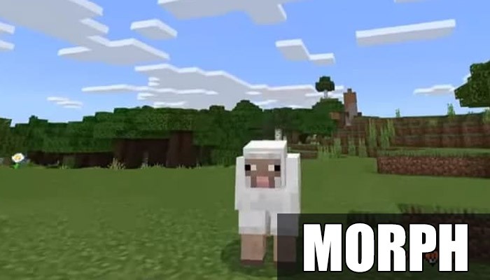 Мод Morph для Minecraft PE
