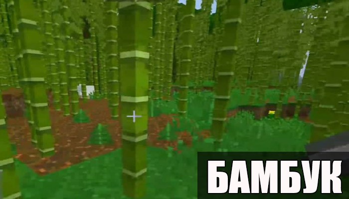 Бамбук в Minecraft PE 1.9.0.3