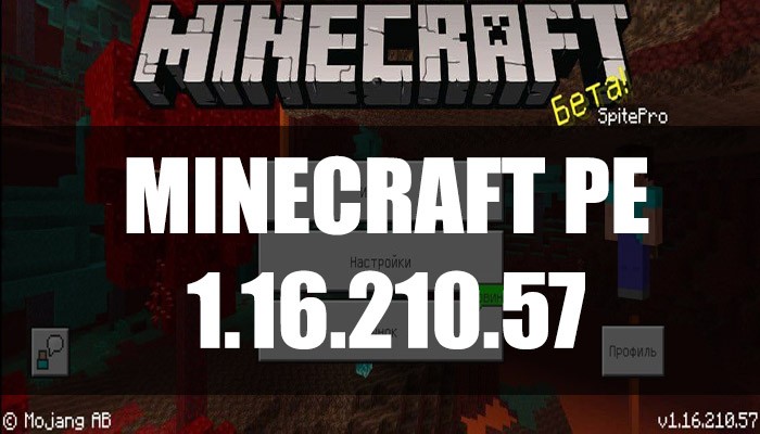 Скачать Minecraft PE 1.16.210.57