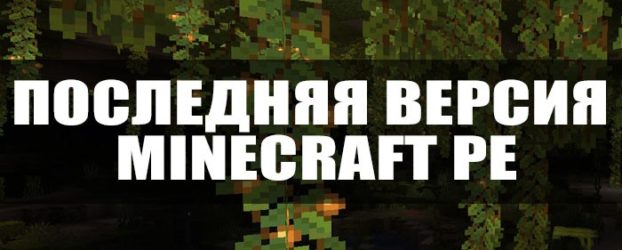 Скачать самую последнюю версию Minecraft PE