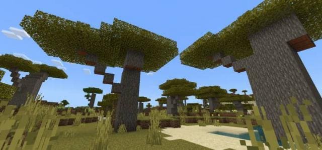 Как выглядят новые деревья 10