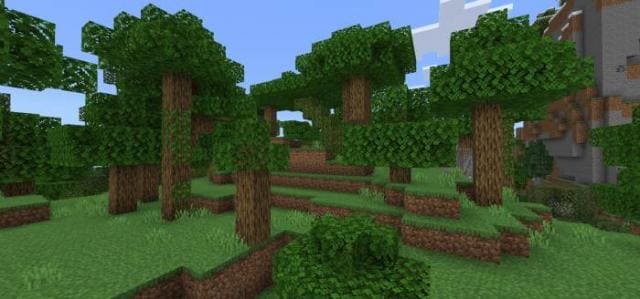 Как выглядят новые деревья 2