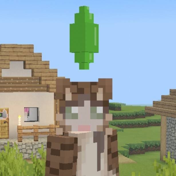 Скачать мод на шляпки из Симсов на Minecraft PE Бесплатно