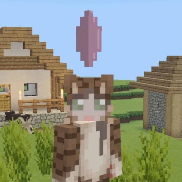 Скачать мод на шляпки из Симсов на Minecraft PE Бесплатно