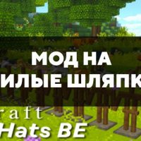 Скачать мод на милые шляпки на Minecraft PE Бесплатно