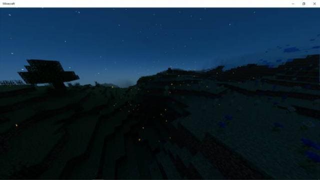 Как выглядят светлячки ночью 3