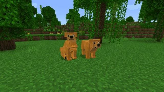 Скачать мод на породы собак на Minecraft PE Бесплатно