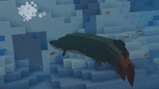 Новые рыбы в игровом мире