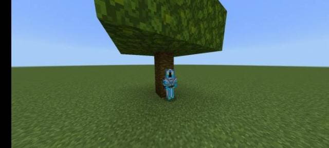 Игрок использует дополнение и выращивает деревья