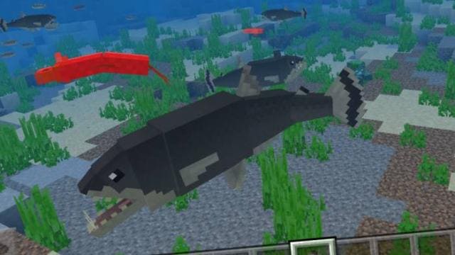 Новые рыбы в игровом мире 3