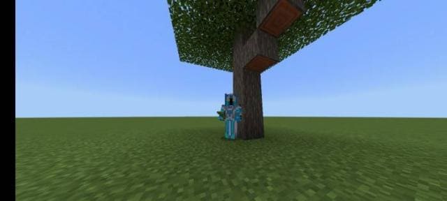 Игрок использует дополнение и выращивает деревья 3