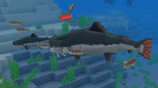 Новые рыбы в игровом мире 4