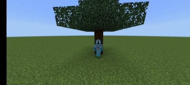 Игрок использует дополнение и выращивает деревья 5
