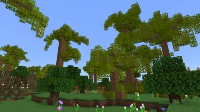 Как выглядят новые деревья 11