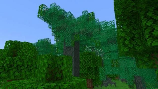 Как выглядят новые деревья 9