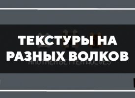 Скачать текстуры на разных волков для Minecraft PE Бесплатно