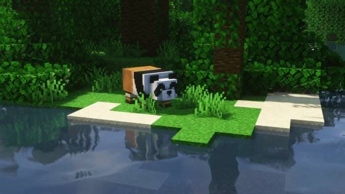 Скачать текстуры на Кунг-фу панду для Minecraft PE Бесплатно