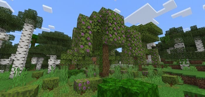 Скачать мод на уникальные деревья на Minecraft PE Бесплатно