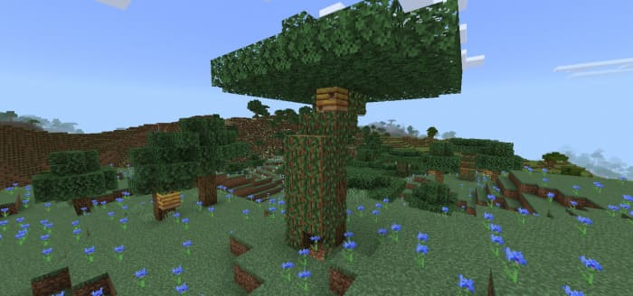 Скачать мод на уникальные деревья на Minecraft PE Бесплатно