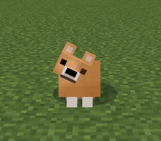 Скачать мод на миленьких собак на Minecraft PE Бесплатно
