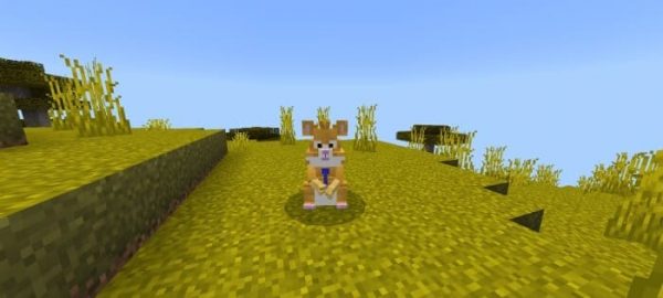 Скачать мод на хамстер комбат на Minecraft PE Бесплатно