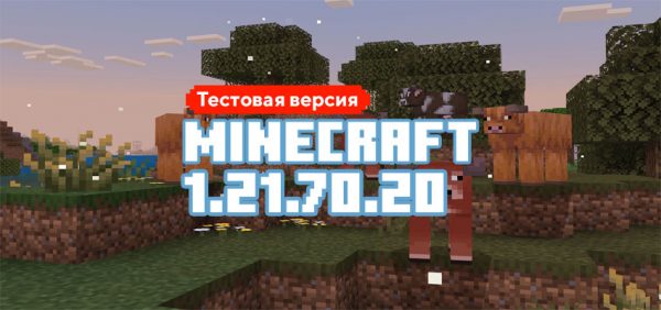 Скачать Майнкрафт 1.21.70.20