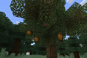 Скачать мод на фрукты на деревьях на Minecraft PE Бесплатно