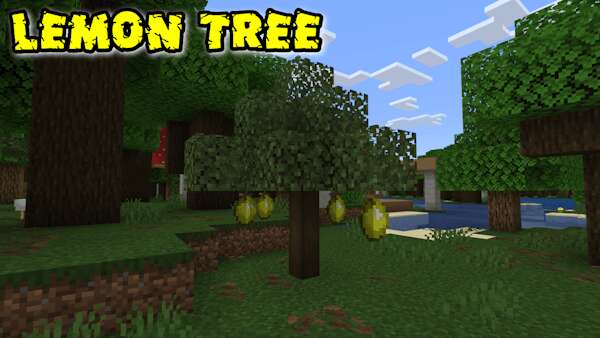 Скачать мод на фрукты на деревьях на Minecraft PE Бесплатно