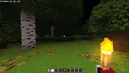 Скачать мод на прогулки с факелом на Minecraft PE Бесплатно