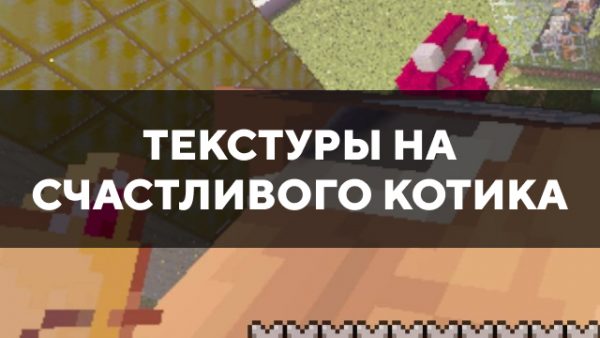 Скачать текстуры на счастливого котика для Minecraft PE Бесплатно