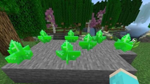 Скачать мод на новые биомы на Minecraft PE Бесплатно