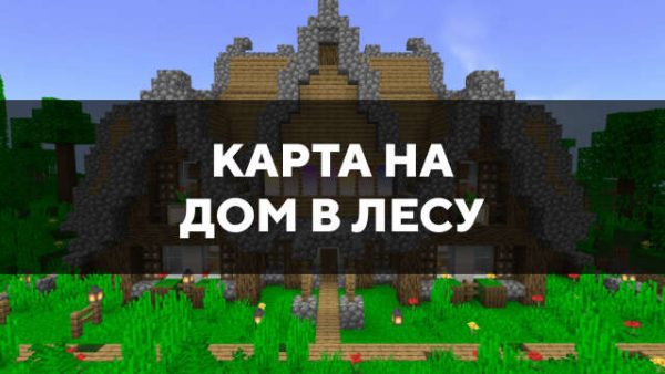 Карта на дом в лесу в Майнкрафт