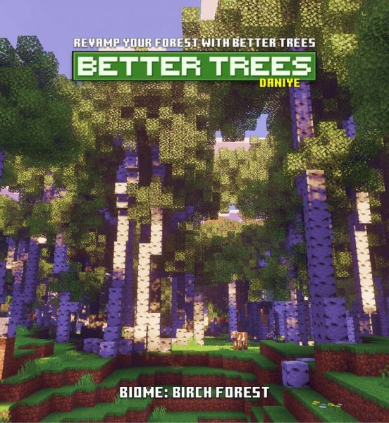 Мангровое дерево на фоне заката