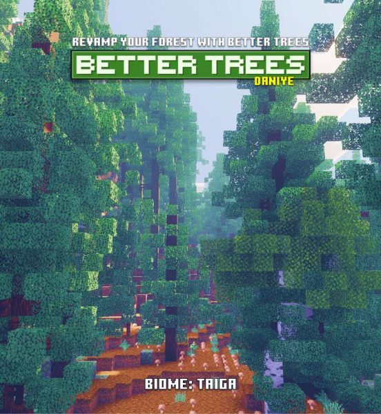 Улучшенные еловые деревья среди леса