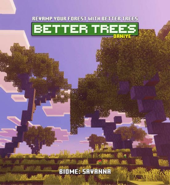 Вид на кривое, реалистичное дерево в лесу