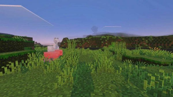 Как выглядит новое поле