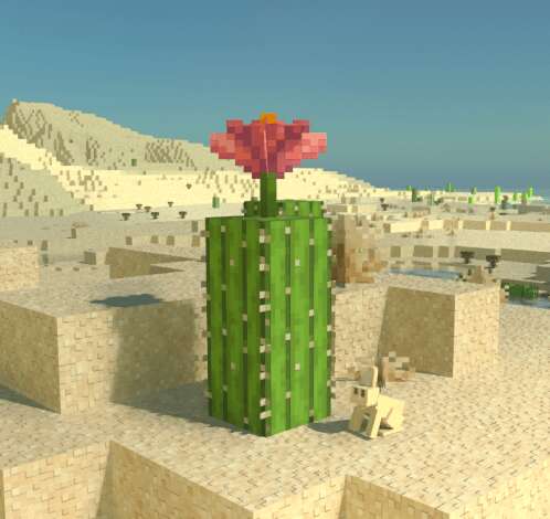 Кактус на фоне пустыни и красивого неба