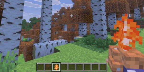 Вид на обновленный лес с осенней листвой 2