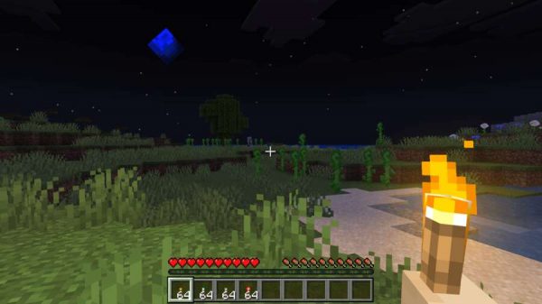 Игрок освещает игровой мир факелом